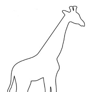 Meet your Posher, Tod